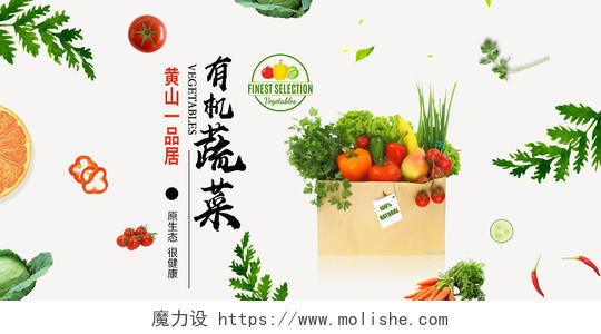 简约食品生鲜超市农产品有机蔬菜展板